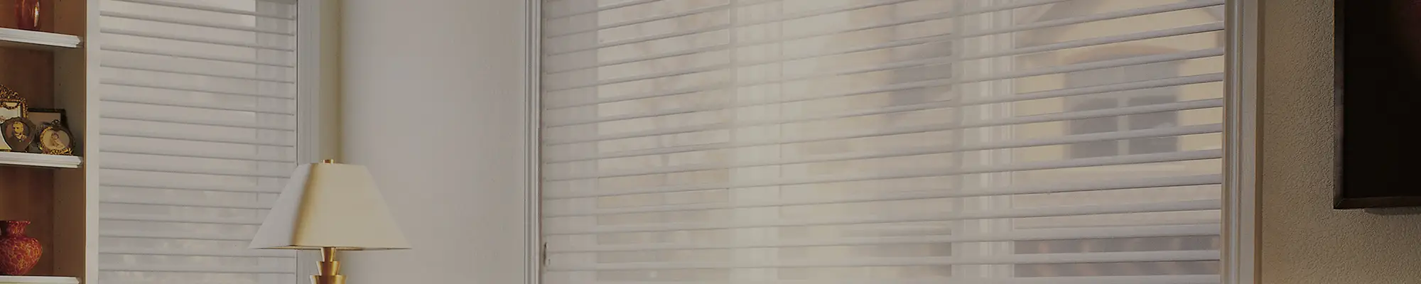 window coverings in living area